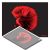 Tappetino Decontaminante - Red Fish
