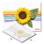 Tappetino Decontaminante - Girasole